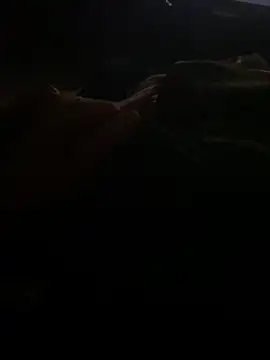 Snapshot of Joven_Modelo chatting on 10/13/25, 06:13 Joven Modelo online show from 10/13/25, 06:13