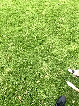 Snapshot of Joven_Modelo chatting on 10/21/25, 07:47 Joven Modelo online show from 10/21/25, 07:47