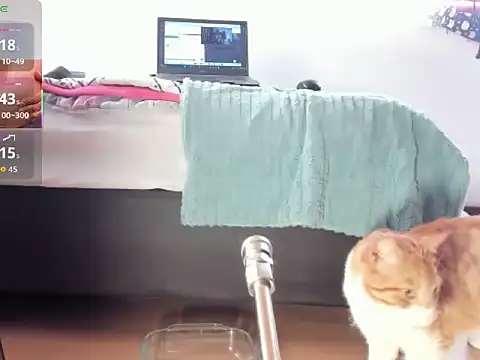 Snapshot of __Aragon__ chatting on 11/04/25, 02:38 Aragon online show from 11/04/25, 02:38