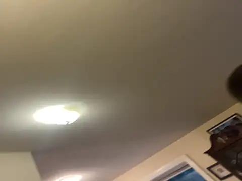 custardnmypie online show from 11/10/25, 12:09