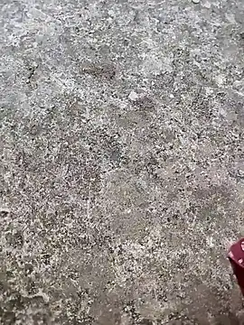 Snapshot of play_boy-raj007 chatting on 11/02/25, 10:17 play boy-raj007 online show from 11/02/25, 10:17