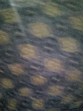 Tanha18 online show from 12/05/25, 06:59