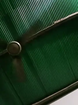 Snapshot of Jessica-03 chatting on 03/13/26, 05:30 Jessica-03 online show from 03/13/26, 05:30