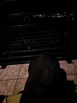 SamoSkupo online show from 10/29/25, 08:10