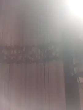 YiyinLy online show from 03/29/26, 09:15