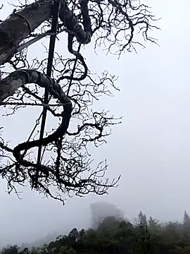 siusiu-00 online show from 11/01/25, 01:07