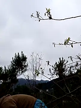 siusiu-00 online show from 11/19/25, 12:54