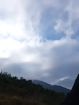 siusiu-00 online show from 11/22/25, 08:24