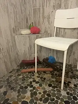 Snapshot of queenkelly1234 chatting on 11/03/25, 08:54 queenkelly1234 online show from 11/03/25, 08:54