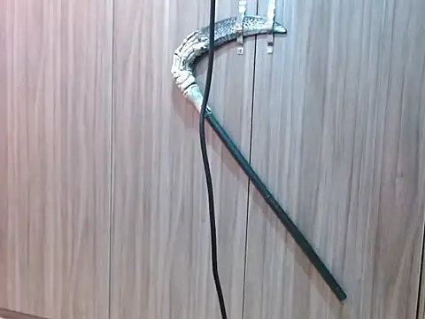 Snapshot of kassandra13 chatting on 10/16/25, 06:31 kassandra13 online show from 10/16/25, 06:31