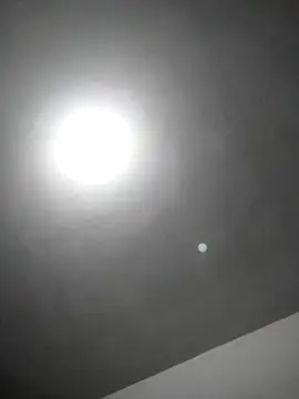 checheludo23 online show from 02/25/26, 12:20