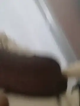 Snapshot of Vickyins480000 chatting on 06/07/26, 04:33 Vickyins480000 online show from 06/07/26, 04:33