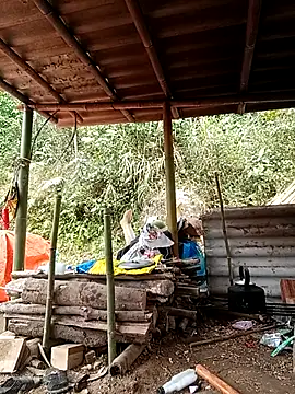 -Kem-01 online show from 02/22/26, 06:35