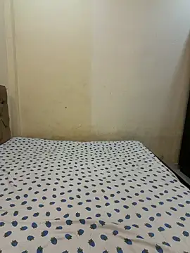 Snapshot of payal_mittal chatting on 06/14/26, 11:29 payal mittal online show from 06/14/26, 11:29