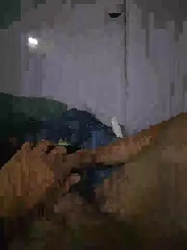 shainnfk online show from 03/01/26, 11:23