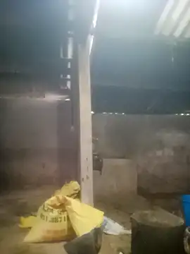 Snapshot of Myzak- chatting on 10/18/25, 11:38 Myzak- online show from 10/18/25, 11:38