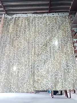 Snapshot of Rajni_chauhan chatting on 11/15/25, 06:55 Rajni chauhan online show from 11/15/25, 06:55