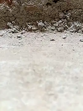 Snapshot of Rajni_chauhan chatting on 03/25/26, 04:13 Rajni chauhan online show from 03/25/26, 04:13