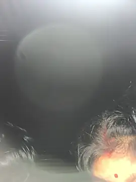 Ragni bhargav online show from 01/19/26, 04:22