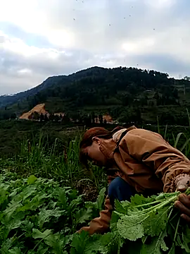 omai-ngot online show from 11/22/25, 09:19