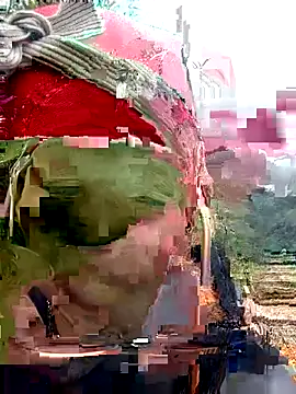 Snapshot of nui-show chatting on 10/24/25, 05:26 nui-show online show from 10/24/25, 05:26