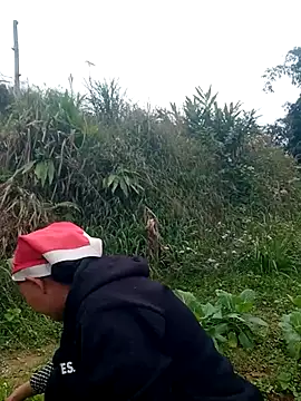 nui-show online show from 11/22/25, 06:01