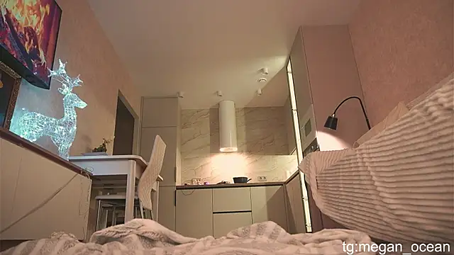 Megan galactica online show from 11/30/25, 04:11