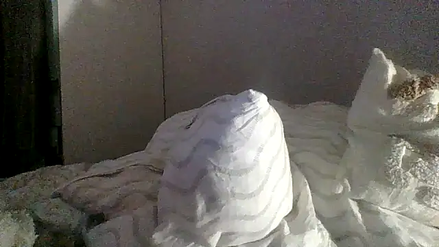 Snapshot of Lolaaa17740 chatting on 11/24/25, 11:37 Lolaaa17740 online show from 11/24/25, 11:37