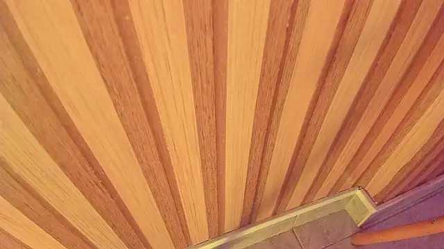 mia  blaze   online show from 01/15/26, 03:00