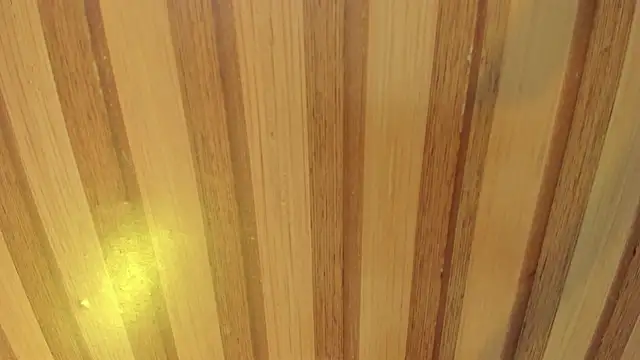 Snapshot of mia__blaze__ chatting on 04/08/26, 02:55 mia blaze online show from 04/08/26, 02:55