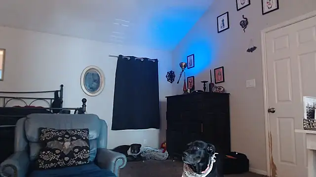 Snapshot of ImKatMeow chatting on 02/09/26, 05:17 ImKatMeow online show from 02/09/26, 05:17