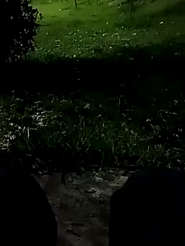 Snapshot of roludao_fun chatting on 11/10/25, 10:42 roludao fun online show from 11/10/25, 10:42