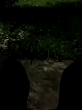 Snapshot of roludao_fun chatting on 11/11/25, 10:54 roludao fun online show from 11/11/25, 10:54