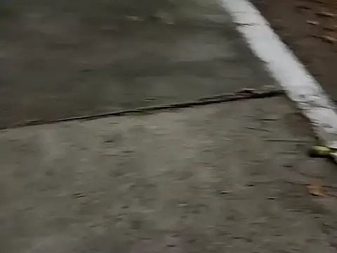 Snapshot of roludao_fun chatting on 12/04/25, 10:07 roludao fun online show from 12/04/25, 10:07