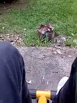 roludao fun online show from 02/20/26, 09:15