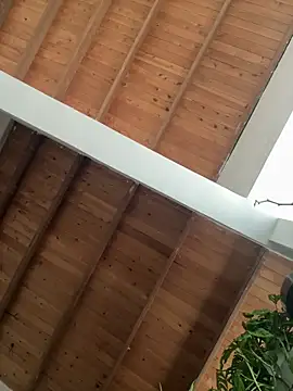 valeriahornier online show from 03/29/26, 09:15