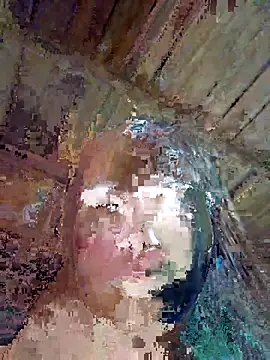 Snapshot of Squirrel-Pear chatting on 11/08/25, 01:00 Squirrel-Pear online show from 11/08/25, 01:00