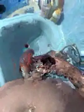 Snapshot of Miguelitros chatting on 04/27/26, 04:27 Miguelitros online show from 04/27/26, 04:27