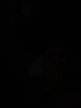 wellingtonmds online show from 02/07/26, 01:26