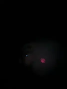 Snapshot of Paapii1098 chatting on 03/15/26, 08:04 Paapii1098 online show from 03/15/26, 08:04