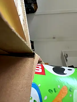 Snapshot of cheems232 chatting on 11/26/25, 07:48 cheems232 online show from 11/26/25, 07:48