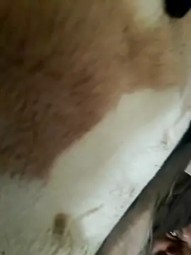 Snapshot of Perfect_size chatting on 11/20/25, 08:58 Perfect size online show from 11/20/25, 08:58