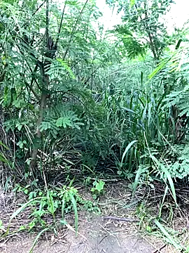 Snapshot of couplesexroom chatting on 11/19/25, 08:03 couplesexroom online show from 11/19/25, 08:03