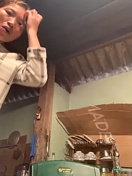 sowbibi online show from 11/01/25, 01:29