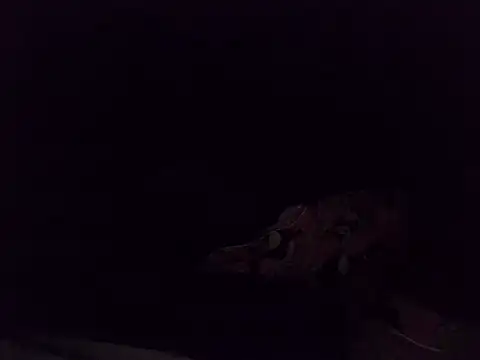 Snapshot of boldiva89 chatting on 10/25/25, 01:35 boldiva89 online show from 10/25/25, 01:35