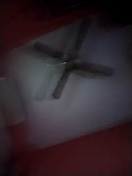 Danii2005 online show from 11/25/25, 08:09