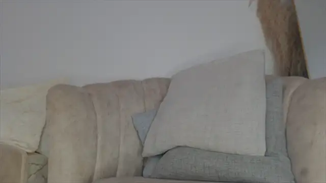 Snapshot of Trissa_Benson chatting on 03/14/26, 03:17 Trissa Benson online show from 03/14/26, 03:17