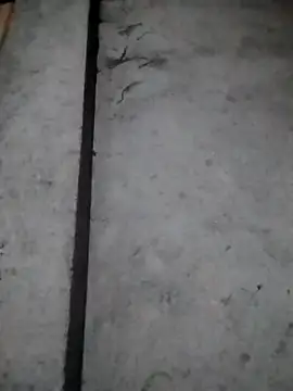 Snapshot of rickkis2k chatting on 12/16/25, 10:15 rickkis2k online show from 12/16/25, 10:15