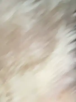 Irin jo online show from 02/02/26, 12:42