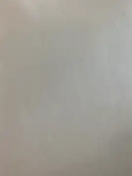 hairypussy254 online show from 04/19/26, 06:35